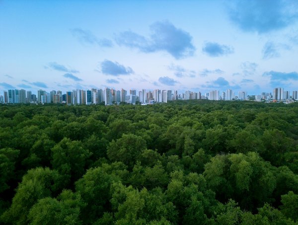 Photographe sur rouen : l'art de capturer vos émotions
