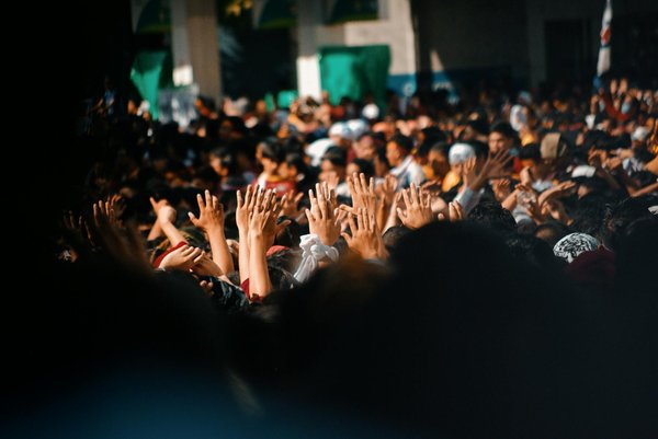 Découverte créative : le guide essentiel pour les débutants en sculpture sur bois avec des méthodes innovantes